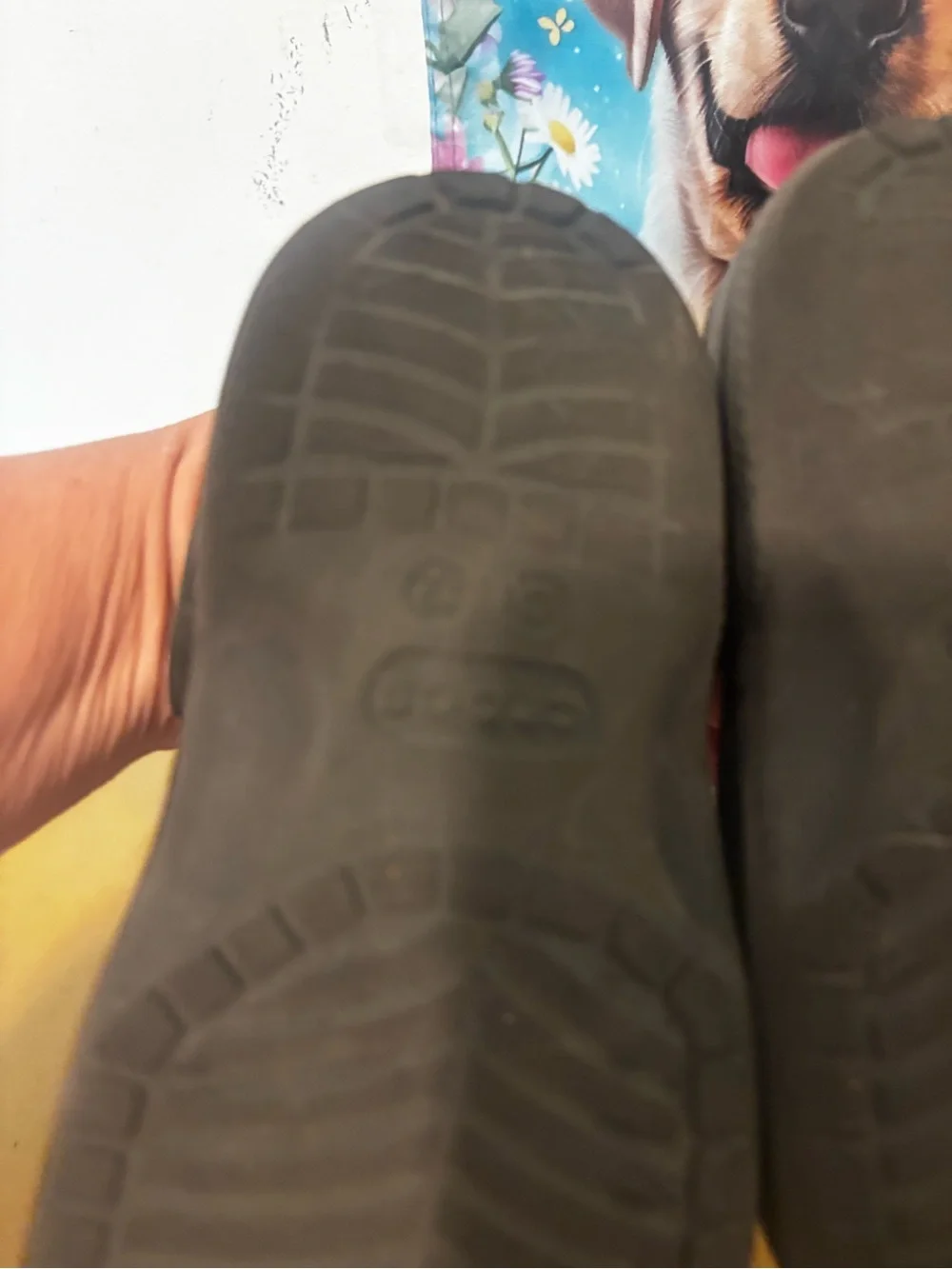 CROCS Kids Black Classic Clogs
